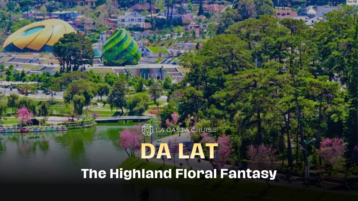 Massive colorful floral displays blooming during the spring season in Da Lat