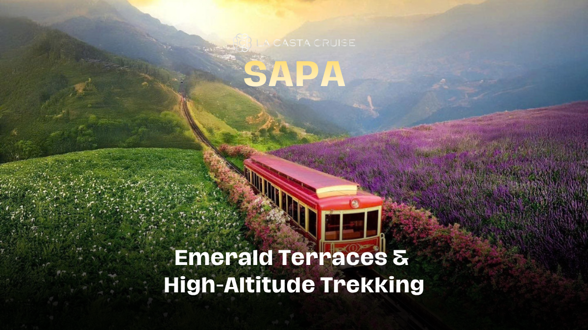 Emerald green terraced rice fields in the high-altitude mountains of Sapa