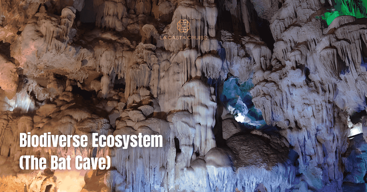 The delicate subterranean ecosystem and lush entrance of Cat Ba Island caves.