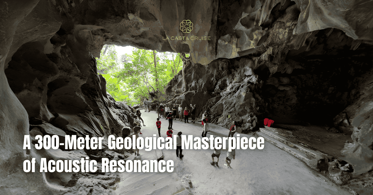 Musical stone pillars and delicate stalactites seen during Trung Trang Cave luxury travel.